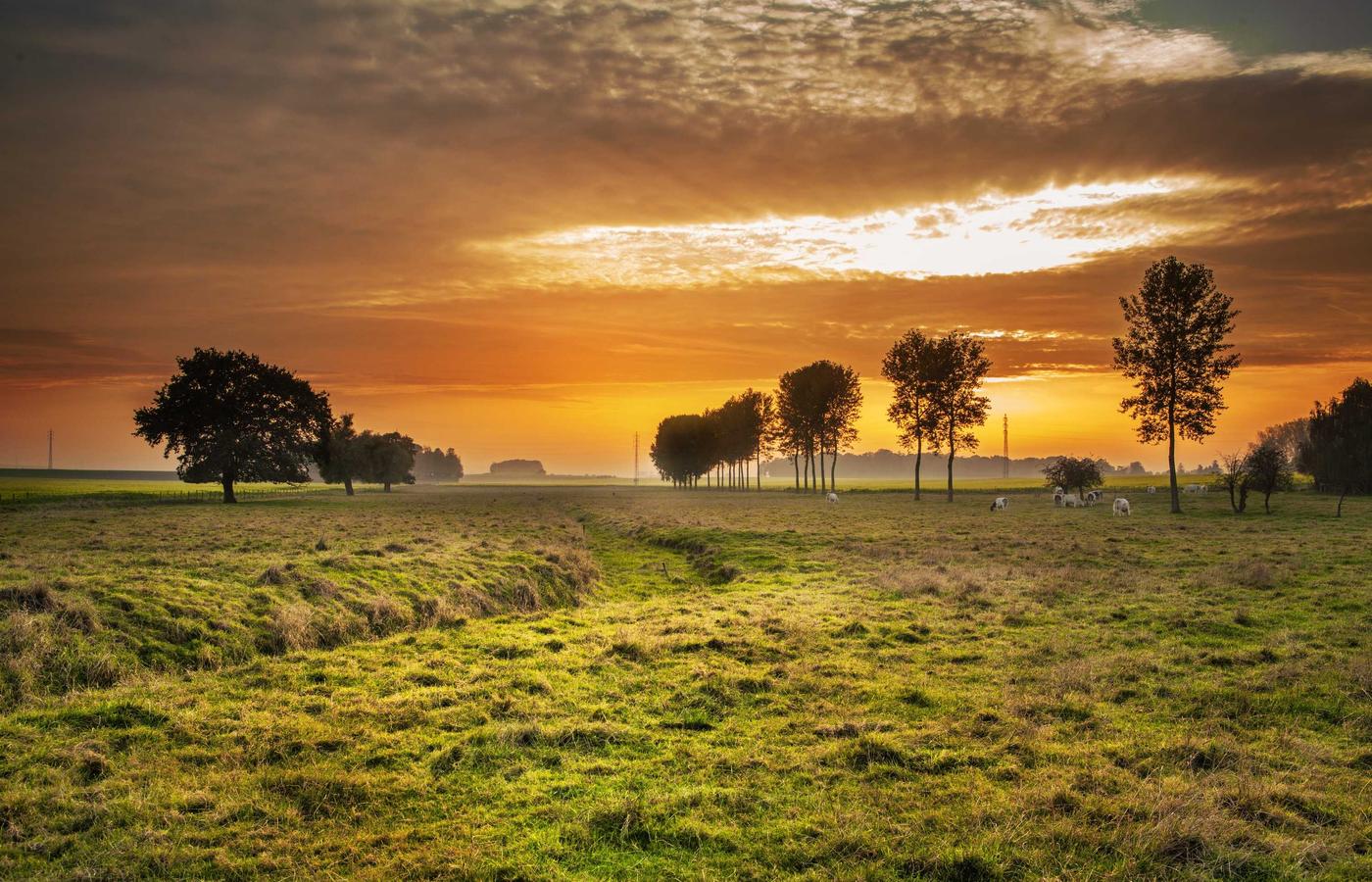 Porträt von Sofia Chen